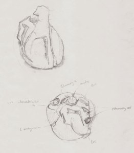 More Heart Sketches