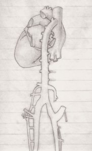 Heart sketch