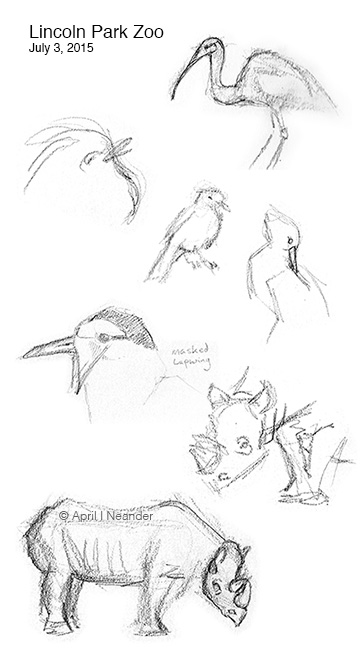 zooSketches_20150703